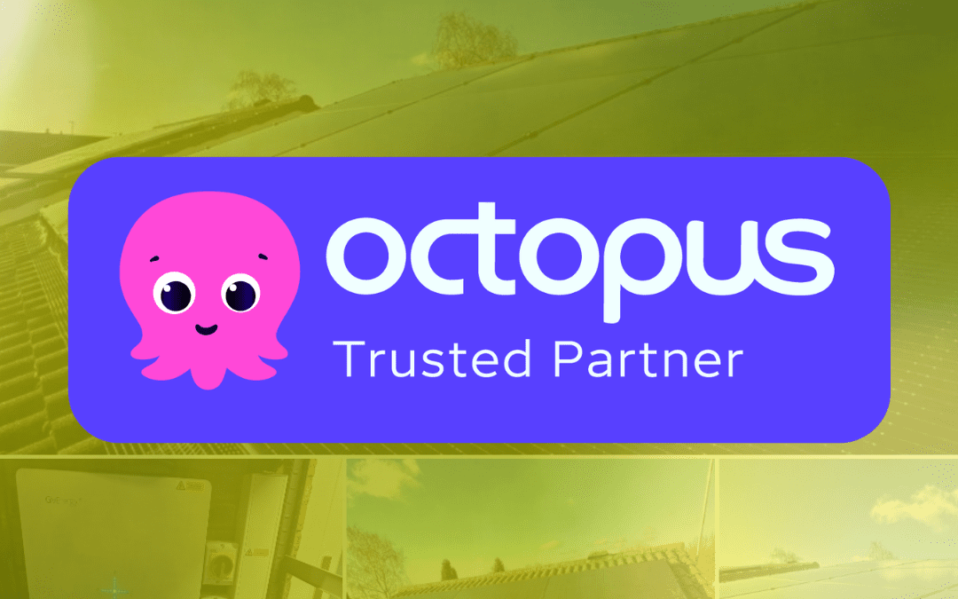 VoltAge Recognised as an Octopus Energy Trusted Partner
